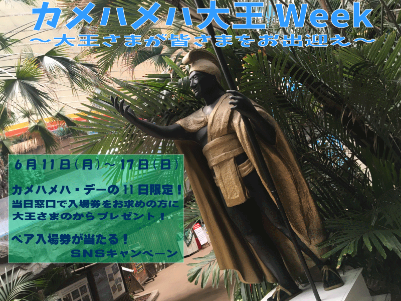 カメハメハ大王WEEK~大王さまが皆さまをお出迎え~