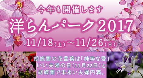 洋らんパーク2017