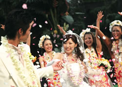 Tropical Weddings (Nonreligious Ceremonies)