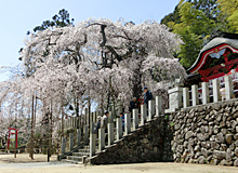 小川諏訪神社
