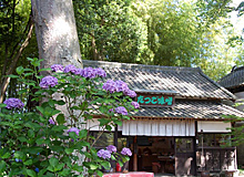 庭園味噌蔵たつご味噌