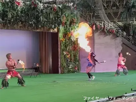 ファイヤーパフォーマンス