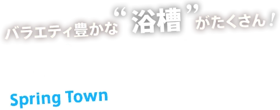 バラエティ豊かな浴槽がたくさんスプリングタウン