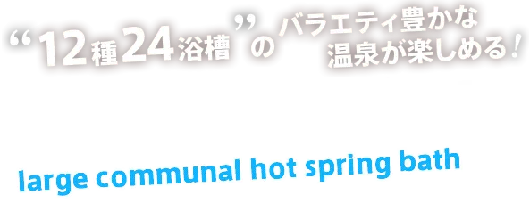 12種24浴槽のバラエティ豊かな温泉が楽しめる温泉大浴場パレス