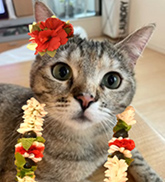 ベベ