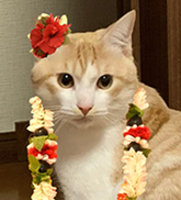 ちくわ
