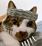 ルア