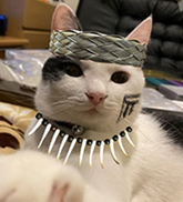 ぶう