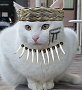 しろ