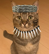 ビビ