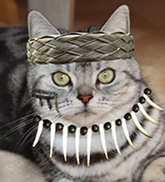 ちろ