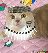 ぼんち
