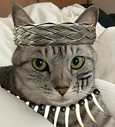 ノア
