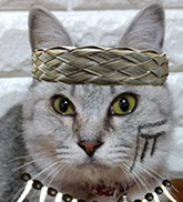フワ