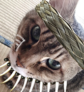 アフィクロ