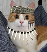 おかか