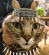 トロさん