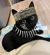 こてつ