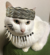 きなこ