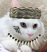 とろろ