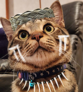 かー