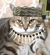 チャチャ