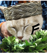 影山　つもる