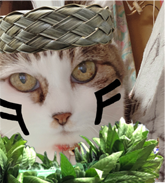 ちび
