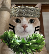 れんごく