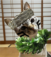 らなちゃん