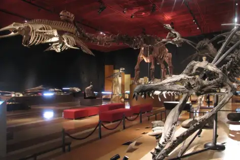 いわき石炭・化石館ほるる