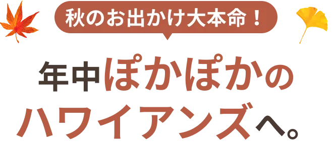秋のお出かけ大本命！年中ぽかぽかのハワイアンズへ