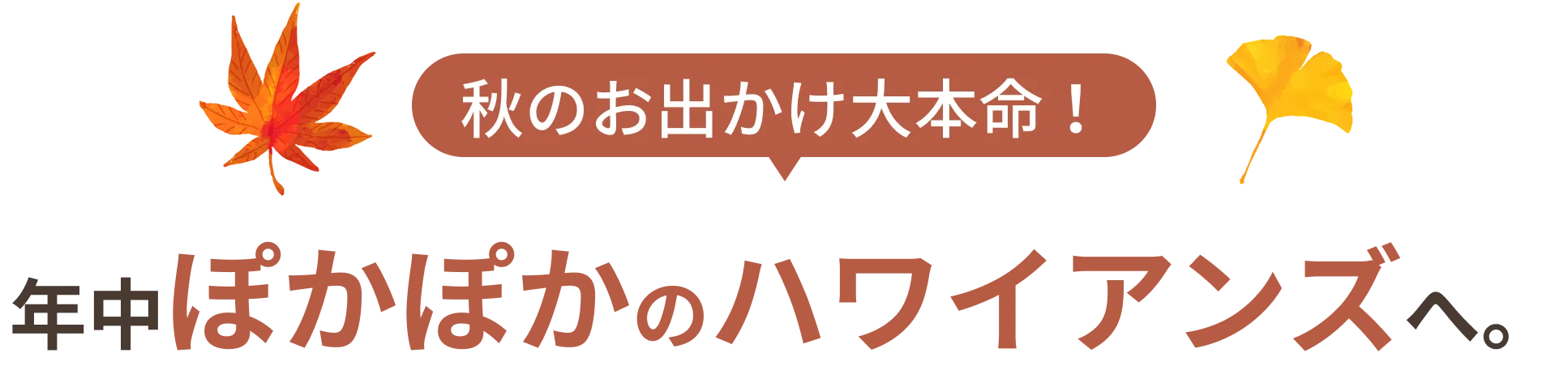 秋のお出かけ大本命！年中ぽかぽかのハワイアンズへ