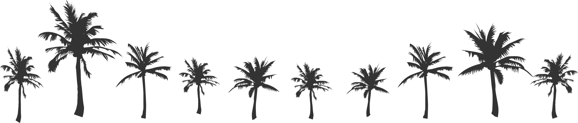 ヤシの木シルエット