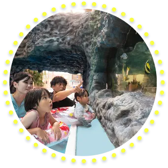 フィッシュゴーランド