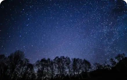 テーブルゲーム