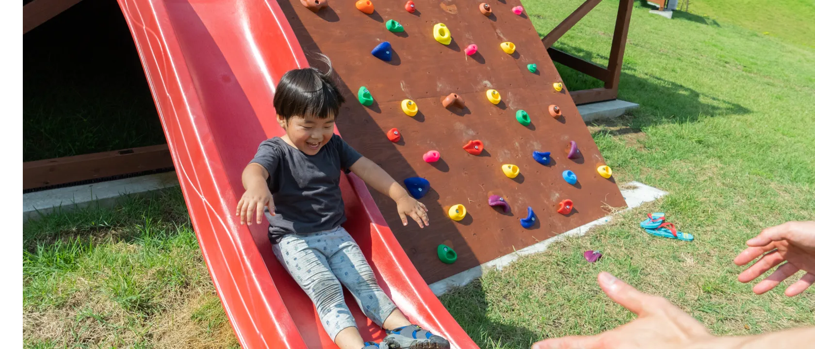 アクティビティ