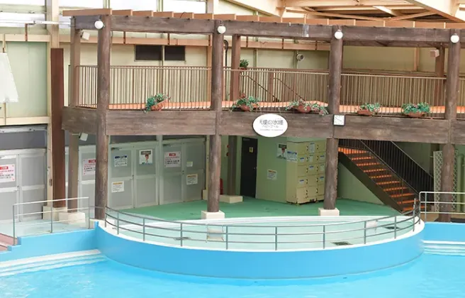 水遊び用おむつで遊べるプール