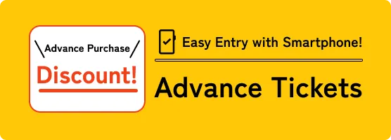 Entrée facile avec votre smartphone&nbsp;! Billets en prévente
