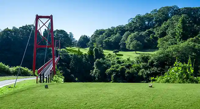 アフターコンベンションも充実