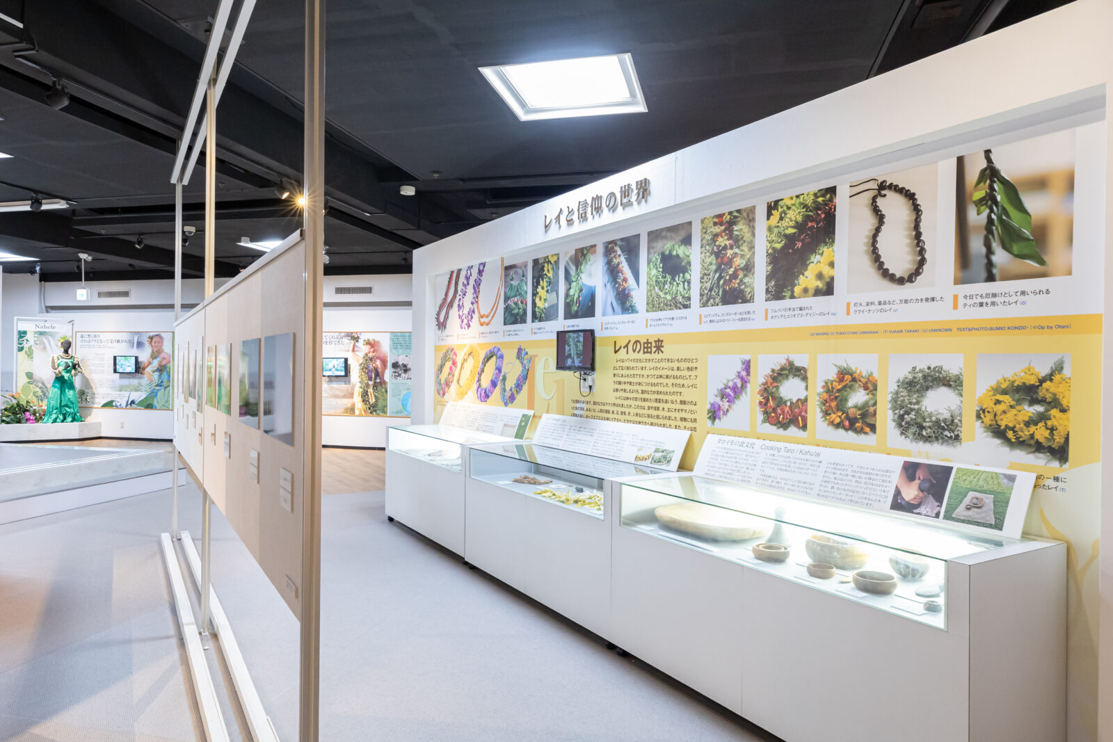 Hula Museum Guided Tour