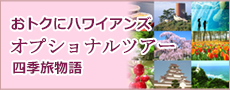 オプショナルツアー一覧