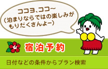 宿泊予約/日付などからの条件からプラン検索