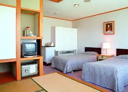 Japanese-Western Style Rooms