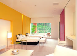Suite Cabins