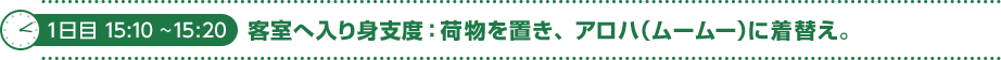 1日目 15:10～15:20　客室へ入り身支度：荷物を置き、アロハ（ムームー）に着替え。