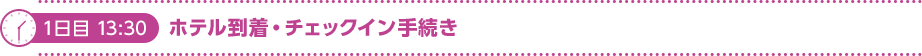 1日目 13:30 ホテル到着・チェックイン手続き