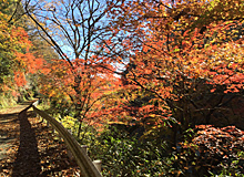 龍神峡渓谷