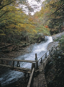 B 紅葉の安達太良山をのんびり散策 スパリゾートハワイアンズ B 紅葉の安達太良山をのんびり散策 スパリゾートハワイアンズ
