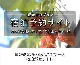【観光付プラン】宿泊予約サイト